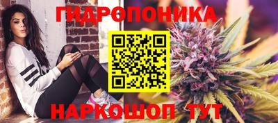 герыч Новозыбков