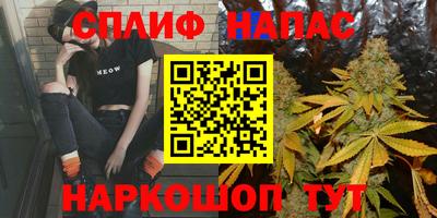 сатива Новодвинск