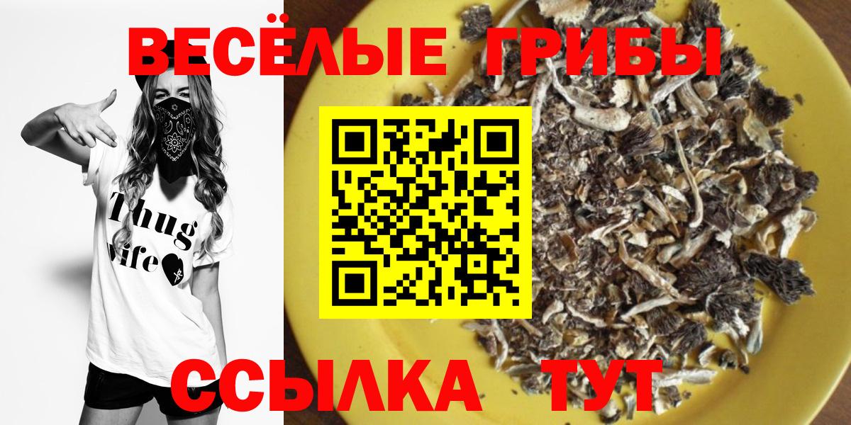 Псилоцибиновые грибы MAGIC MUSHROOMS Рязань
