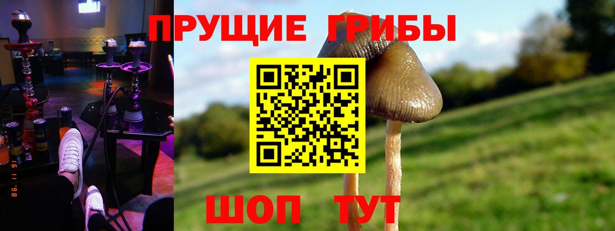Галлюциногенные грибы Psilocybine cubensis  Вход с VPN  Рязань 